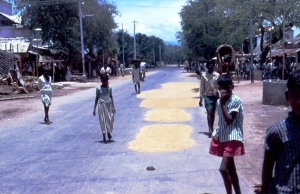 1969 S India Village winnowing